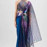 Metallic Multicoloured Winged Saree