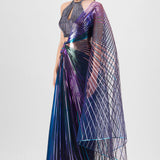 Metallic Multicoloured Winged Saree