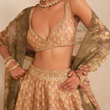 Anita Dongre Noora Lehenga Set Pink
