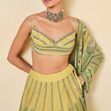 Myuna Sequin Georgette Lehenga