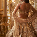 Antique Gold Lehenga Set