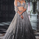 Antique Silver Mirror Work Lehenga Set
