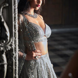 Antique Silver Mirror Work Lehenga Set