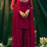 Carmine Pink Embellished Kurti Set