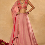 Mina Daman Lehenga