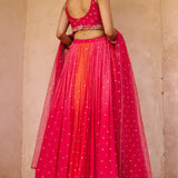 ARIES Lehenga
