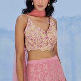 Fiza Lehenga Set