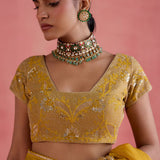 Zeba Mustard Saree Set