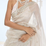Eva Saree Champagne