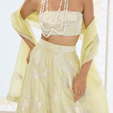 Sylvie Lehenga Set Pistachio