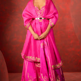 Vixen Lehenga Pink