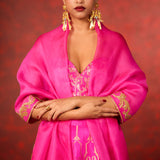 Vixen Lehenga Pink