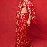 Handwoven Red Chiffon Banarasi Saree