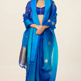 Handwoven Deep Blue Organza Saree
