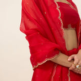 Handwoven Ruby Red Organza Saree
