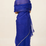 Handwoven Saphire Blue Organza Saree
