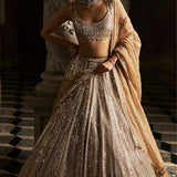 Gold Mirror Work Lehenga Set