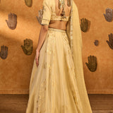Ivory Sakura Tissue Lehenga Set