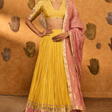 Spiced Ochre Lunar Lehenga Set