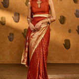 Rust Snow Light Saree