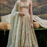 Noor Jahan Lehenga and Veil