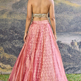 Gulbahar Mirror Lehenga Set