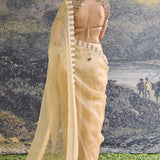 Kahani Jadau Organza Saree Set