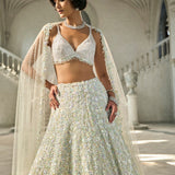 Multi-Coloured Sequin Lehenga Set