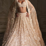 Nude Paisley Lehenga Set