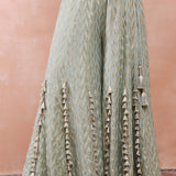 Powder Blue Applique Embroidered Choli With Sharara