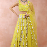 Yellow Embroidered Choli And Lehenga With Dupatta