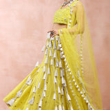 Yellow Embroidered Choli And Lehenga With Dupatta