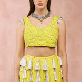 Yellow Embroidered Choli And Lehenga With Dupatta