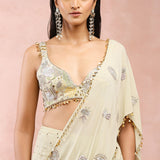 Mint Applique Embroidered Choli And Saree