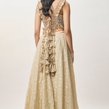Yasna Stone Lehenga Set