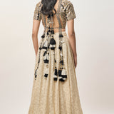 Mahtab Stone Lehenga Set