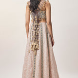 Mehrsa Blush Pink Lehenga Set