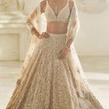 Powder Pink Three-Dimensional Lehenga Set