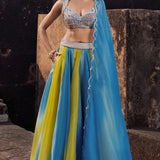 Muse Lehenga Set