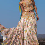 Corset and Skirt Set
