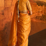 Classic Sari