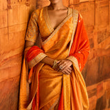 Classic Sari