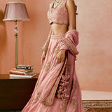 Johari Lehenga Set