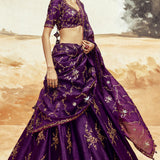 Ranisa Baingani Lehenga Set