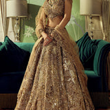 Celestial Opulence Lehenga Set