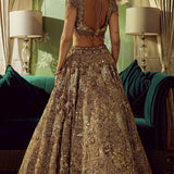 Celestial Opulence Lehenga Set