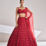 Red Leaf Lehenga