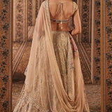 Husn Lehenga Set