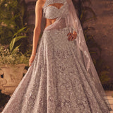 Arienna Lehenga Set