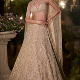 Coffee Sequin Lehenga Set